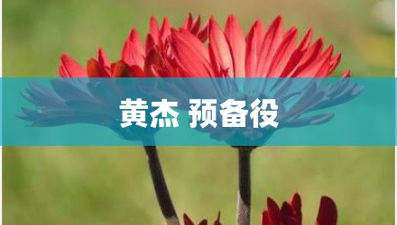 黄杰 预备役