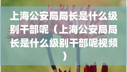 上海公安局局长是什么级别干部呢(上海公安局局长是什么级别干部呢视频)