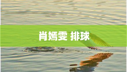 肖嫣雯 排球