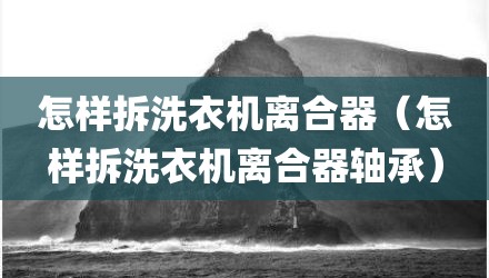 怎样拆洗衣机离合器(怎样拆洗衣机离合器轴承)