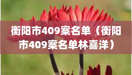 衡阳市409案名单（衡阳市409案名单林喜洋）