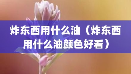 炸东西用什么油（炸东西用什么油颜色好看）