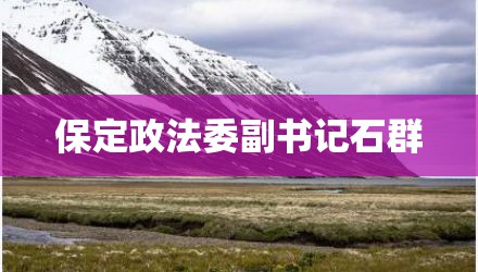 保定政法委副书记石群