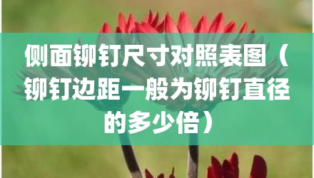 侧面铆钉尺寸对照表图（铆钉边距一般为铆钉直径的多少倍）