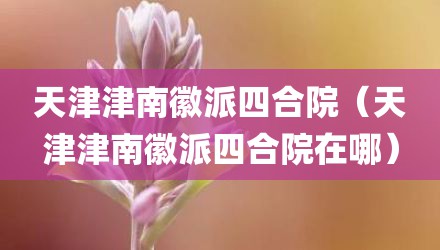 天津津南徽派四合院（天津津南徽派四合院在哪）