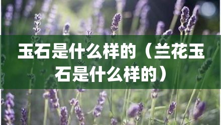 玉石是什么样的（兰花玉石是什么样的）