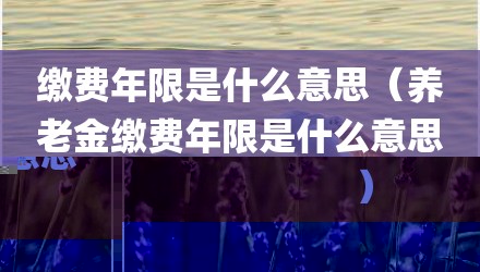 缴费年限是什么意思（养老金缴费年限是什么意思）