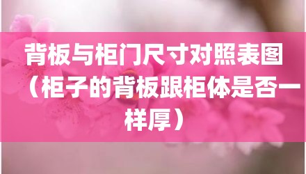 背板与柜门尺寸对照表图(柜子的背板跟柜体是否一样厚)