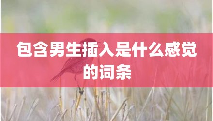 包含男生插入是什么感觉的词条