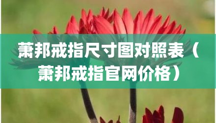 萧邦戒指尺寸图对照表（萧邦戒指官网价格）