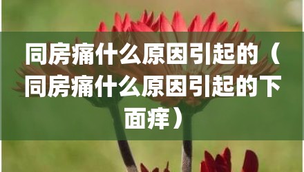 同房痛什么原因引起的（同房痛什么原因引起的下面痒）