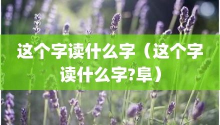 这个字读什么字（这个字读什么字?阜）