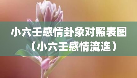 小六壬感情卦象对照表图（小六壬感情流连）