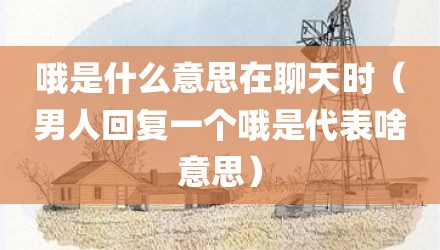 哦是什么意思在聊天时（男人回复一个哦是代表啥意思）