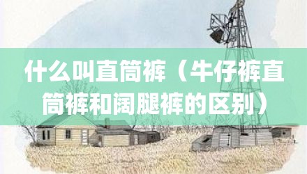 什么叫直筒裤（牛仔裤直筒裤和阔腿裤的区别）