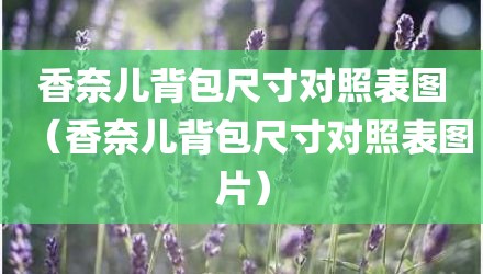 香奈儿背包尺寸对照表图（香奈儿背包尺寸对照表图片）