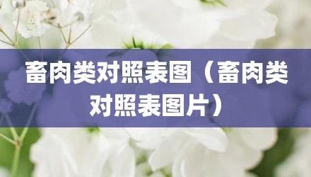 畜肉类对照表图（畜肉类对照表图片）