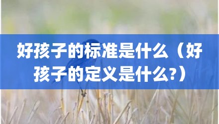 好孩子的标准是什么（好孩子的定义是什么?）