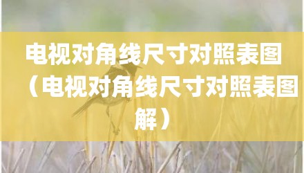电视对角线尺寸对照表图（电视对角线尺寸对照表图解）