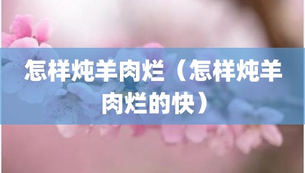 怎样炖羊肉烂（怎样炖羊肉烂的快）