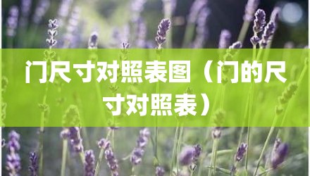 门尺寸对照表图（门的尺寸对照表）
