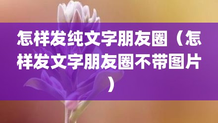 怎样发纯文字朋友圈（怎样发文字朋友圈不带图片）