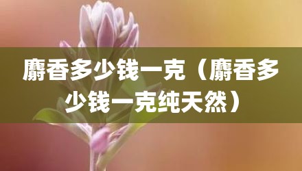 麝香多少钱一克(麝香多少钱一克纯天然)