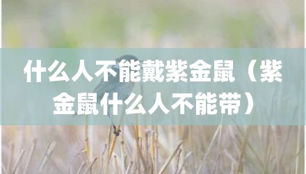 什么人不能戴紫金鼠（紫金鼠什么人不能带）