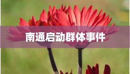 南通启动群体事件