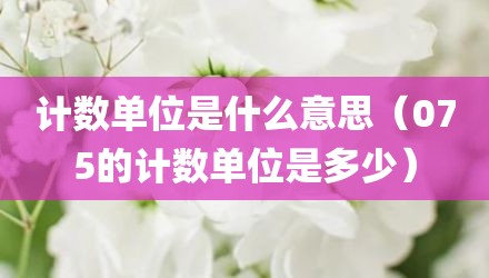 计数单位是什么意思（075的计数单位是多少）