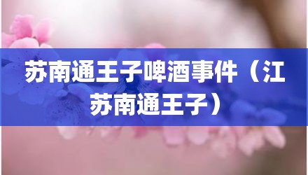 苏南通王子啤酒事件（江苏南通王子）