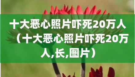 十大恶心照片吓死20万人（十大恶心照片吓死20万人,长,图片）