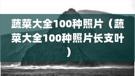 蔬菜大全100种照片(蔬菜大全100种照片长支叶)