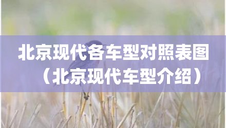 北京现代各车型对照表图（北京现代车型介绍）