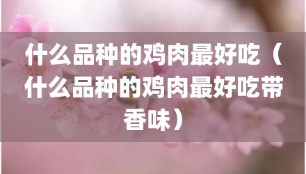 什么品种的鸡肉最好吃（什么品种的鸡肉最好吃带香味）