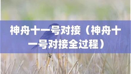 神舟十一号对接（神舟十一号对接全过程）