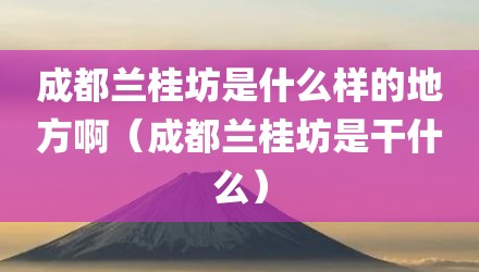 成都兰桂坊是什么样的地方啊(成都兰桂坊是干什么)