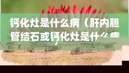 钙化灶是什么病（肝内胆管结石或钙化灶是什么病）
