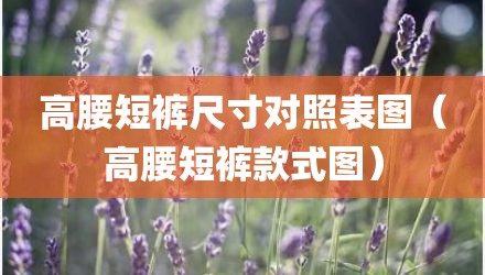 高腰短裤尺寸对照表图（高腰短裤款式图）