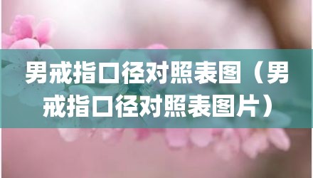 男戒指口径对照表图（男戒指口径对照表图片）