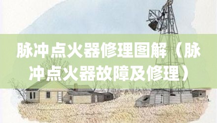 脉冲点火器修理图解（脉冲点火器故障及修理）