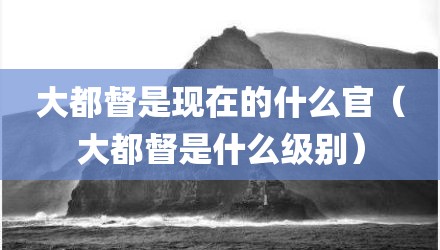 大都督是现在的什么官（大都督是什么级别）