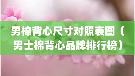 男棉背心尺寸对照表图（男士棉背心品牌排行榜）
