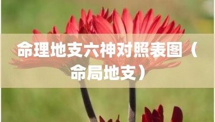 命理地支六神对照表图（命局地支）
