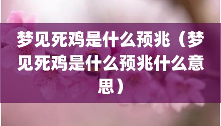 梦见死鸡是什么预兆（梦见死鸡是什么预兆什么意思）