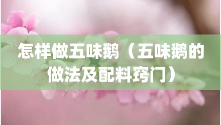 怎样做五味鹅（五味鹅的做法及配料窍门）