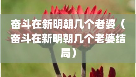 奋斗在新明朝几个老婆（奋斗在新明朝几个老婆结局）