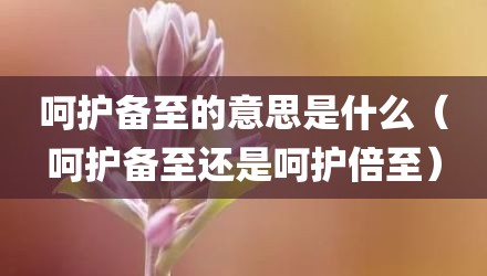 呵护备至的意思是什么（呵护备至还是呵护倍至）
