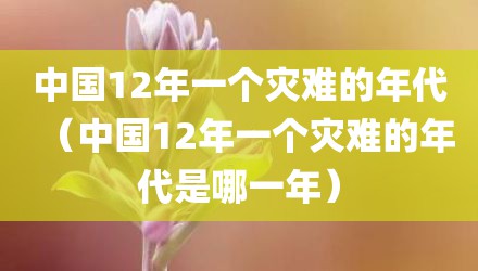 中国12年一个灾难的年代（中国12年一个灾难的年代是哪一年）