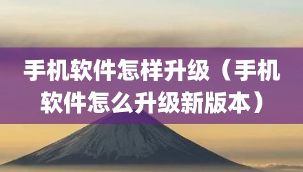 手机软件怎样升级(手机软件怎么升级新版本)